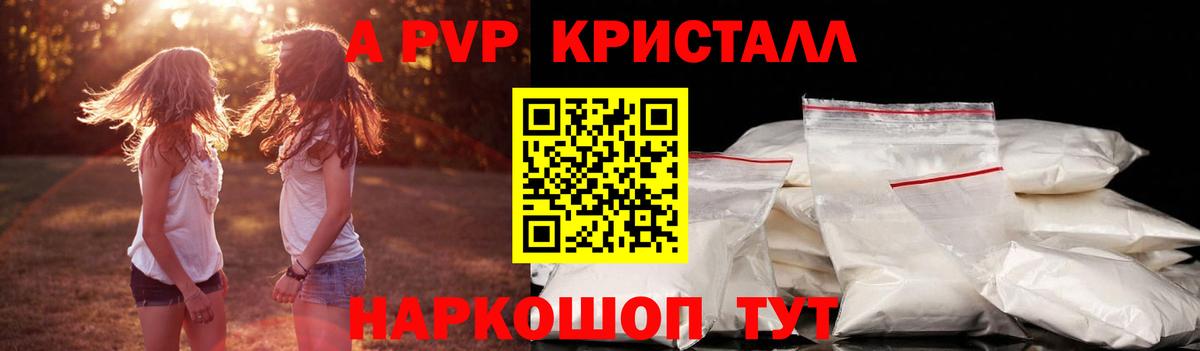 Моздок  Альфа ПВП СК  Вход с VPN  Альфа ПВП крисы CK 